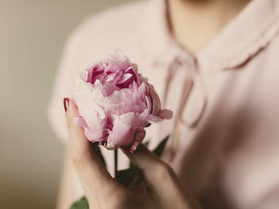 Een hand die een roze pioen vasthoudt